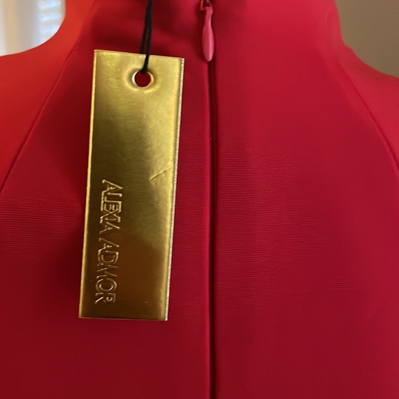 NWT Alexi Admor fara dress - Picture 8 of 9